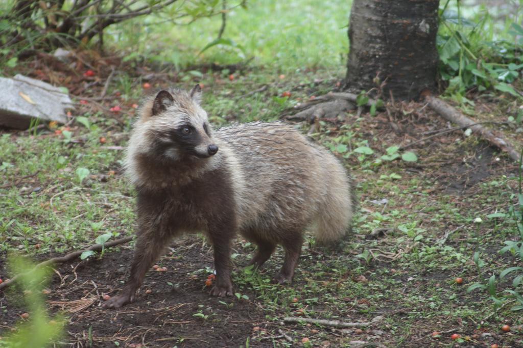 ホテル ファミリーペンションクレヨン 富士河口湖町 エクステリア 写真